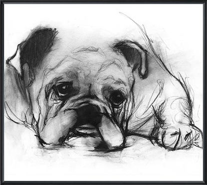 16 x 12 Study of a Dog VII (LN)(Frame: 36P1710)