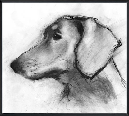 16 x 12 Study of a Dog VIII (LN)(Fame: 36P170)