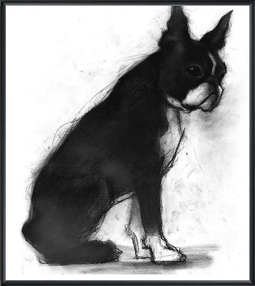 16 x 12 Study of Dog IX (LN)(Frame: 36P1710)