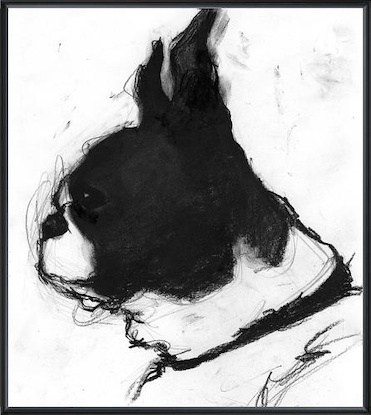 16 x 18 Study of a Dog X (LN)