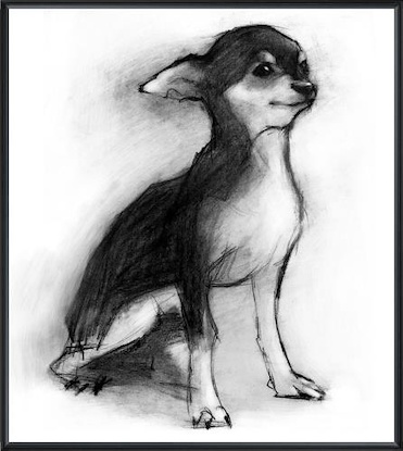 11 x 11 Study of Dog XI (LN)(Frame: 36P1710)