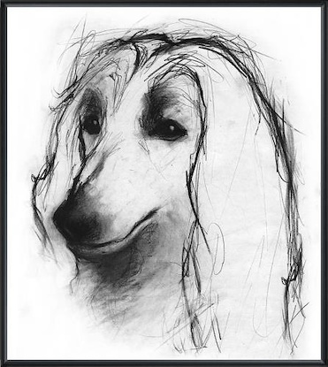 16 x 18 Study of a Dog XII (LN)