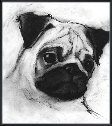 11 x 11 Study of Dog XIII (LN)(Fame: 36P1710)