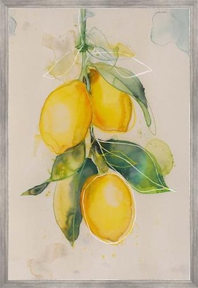 20 x 30 Lemon Drops IV (LN)