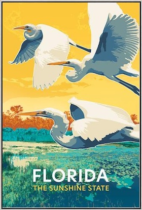 30 x 45 Florida Egrets (FC)
