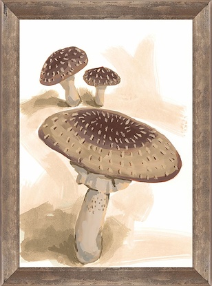 7 x 10 Mushroom Study II (FMA-IBG)