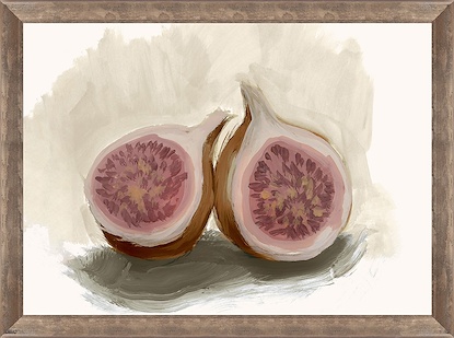 14 x 10 Fig Study I (FMA-IBG)
