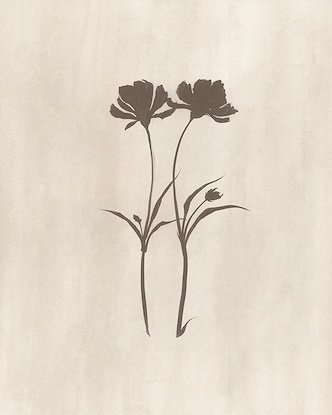 30 x 25 In Bloom V (GF)