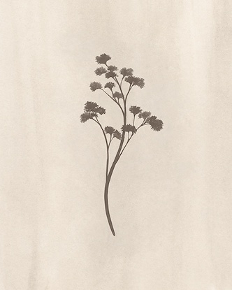 30 x 25 In Bloom II (GF)