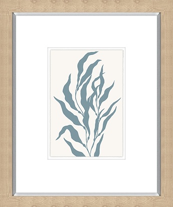 20 x 24 Pacific Kelp I (GF)