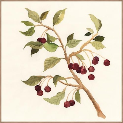 24 x 24 Season Candy IV (LN)