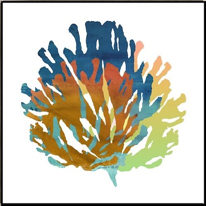 24 x 24 Summer Coral IV (LN)