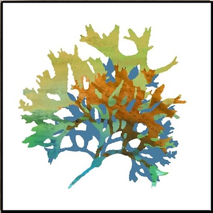 24 x 24 Summer Coral III (LN)