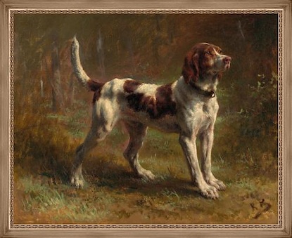 45 x 36 A Limier Briquet Hound (IBG)