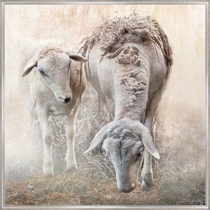 40 x 40 Mother Knows Best I (LN)