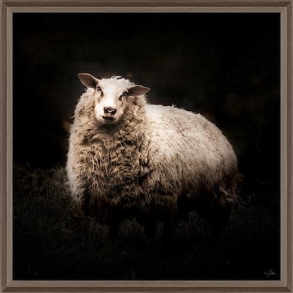 40 x 40 Sweetness and Light (IBG)