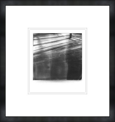 16 x 17 Polaroid Series I (GF)