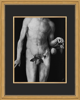 24 x 28 Adam (GF)
