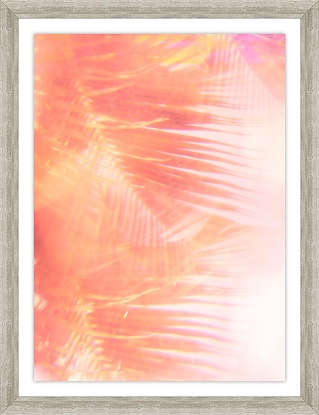 20 x 26 Palm Fronds (Turks and Calico) II (GF)