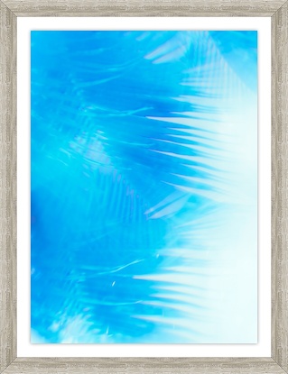 20 x 26 Palm Fronds (Turks and Calico) III (GF)