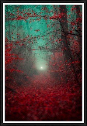 40 x 58 Enchanted Forest I (GF)