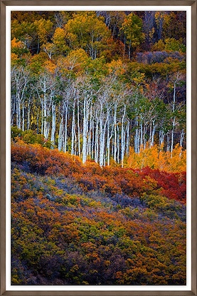 30 x 45 Fall Layers (GF)