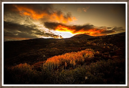 60 x 41 Golden Hour Golden Trees (GF)