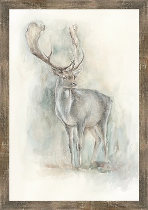 24 x 34 Royal Stag II (FMA-FC)