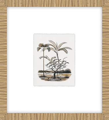 20 x 22 Exotic Terrain - Mauritia (GF)