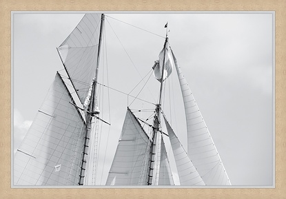 39 x 27 Wind in the Sails (FMA-FC)