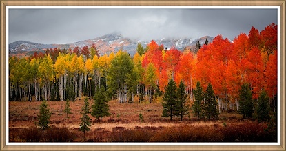 60 x 30 Steamboat Springs Aspen, Delight (GF)