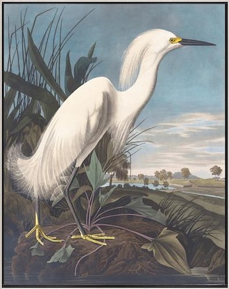 30 x 38 Snowy Heron I (IBG)