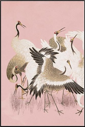 30 x 45 Curious Cranes Plumule (FC)