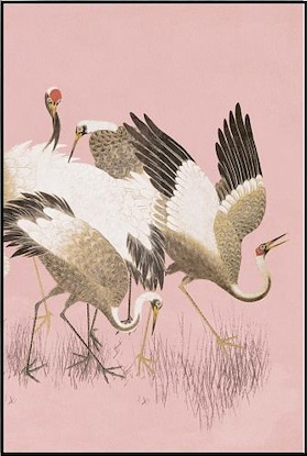 30 x 45 Curious Cranes Preen (FC)