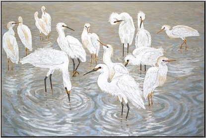 60 x 40 Herons and Egrets (LN)