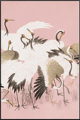 30 x 45 Curious Cranes Pinna (FC)
