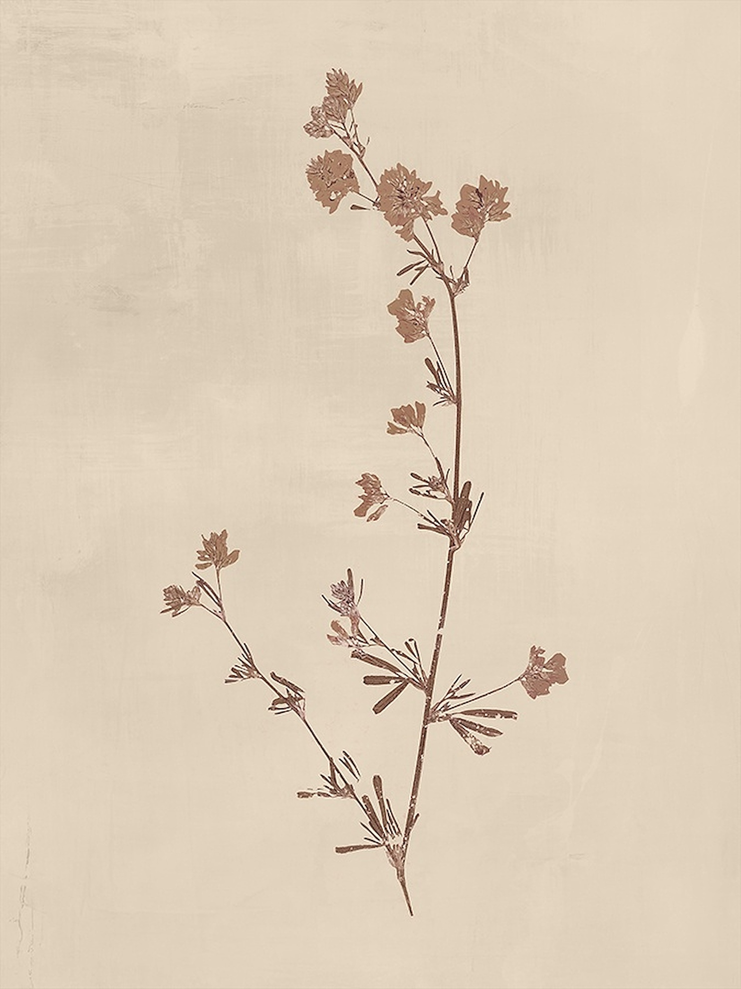 Floral VI
