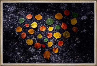 36 x 24 For The Love of Fall (FC)