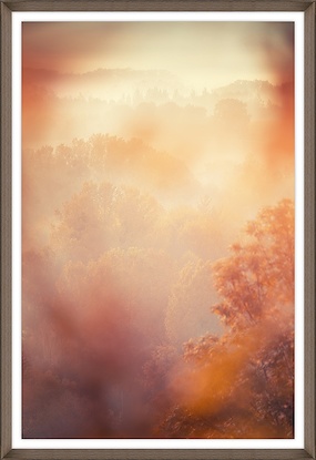 24 x 35 Matin Calme (GF)