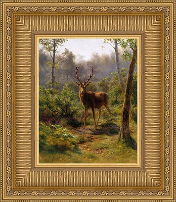 47 x 59 A Stag (IBG)