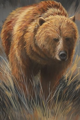 40 x 60 Sunlight Bear (IBG)