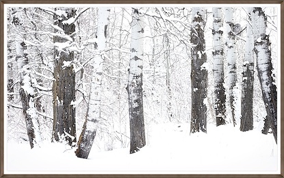 64 x 40 Ghost in The Aspens II (GF)
