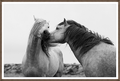 60 x 41 The Power of Friendship (GF)
