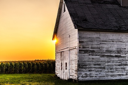 60 x 40 Let Light on the Farm (FC)