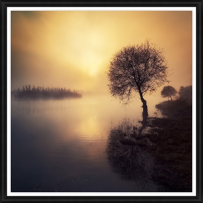 40 x 40 Peaceful Reverie (GF)