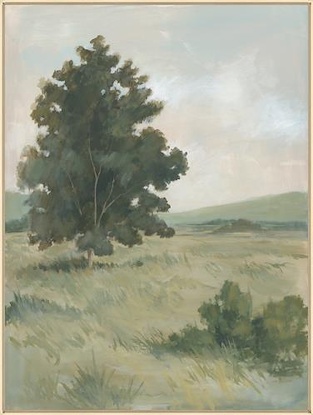30 x 40 Young Oak (IBG)