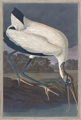 40 x 60 Wood Ibis I (LN)