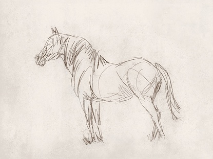20 x 18 Equine Impression IV (GF)
