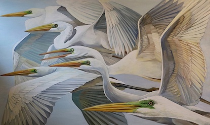 67 x 40 Ardea Alba (LN)