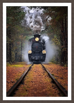 40 x 56 Through the Autumn Forest (GF)